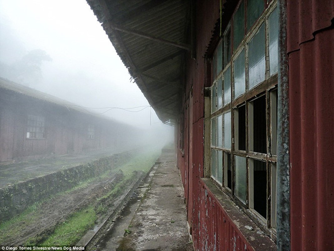 Can canh tuyen duong sat bo hoang hut du khach o Brazil-Hinh-3